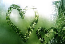 乐竞体育:足球老故事|加盟1个月球队解散,32岁朝鲜族老将和他的荒诞足球人生.