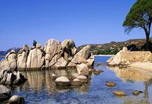 乐竞体育:体坛:意大利新公民法提高入籍门槛,或将影响归化球员格局.